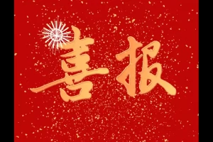 2025年达州高新区实验学校中考成绩升学率(中考喜报)