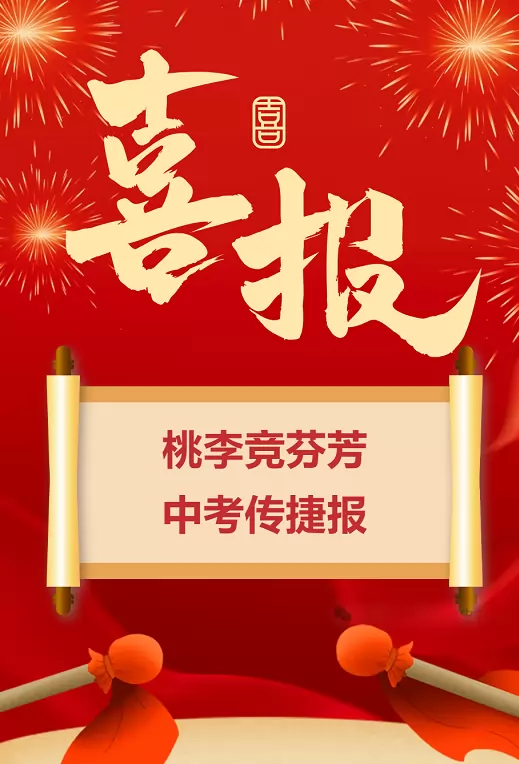 2025年桃山初级中学中考成绩升学率(中考喜报)