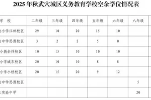 2025年武穴城区义务教育学校(小学、初中)招生入学最新政策