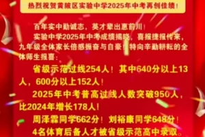 2025年武汉市黄陂区实验中学中考成绩升学率(中考喜报)