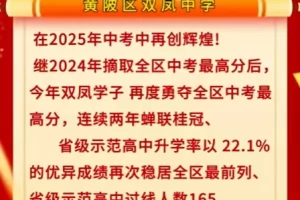 2025年武汉市黄陂区双凤中学中考成绩升学率(中考喜报)