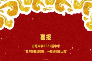2025年惠安山霞中学中考成绩升学率(中考喜报)