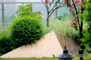 2025年成都市金牛区协同外语学校小升初招生简章(招生计划+收费标准)