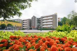 深圳市龙岗区东升学校收费标准(学费+住宿费+伙食费)