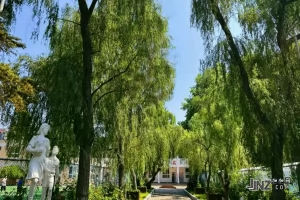 2025年河南科技大学附属小学招生简章(招生条件+招生范围)
