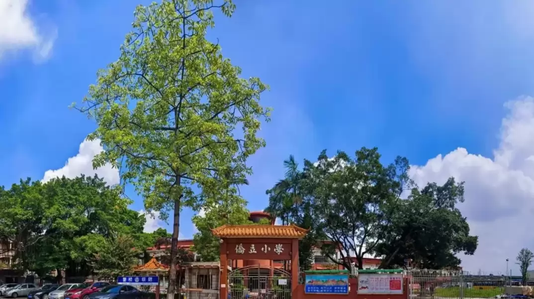 佛山市禅城区南庄镇颖林侨立小学