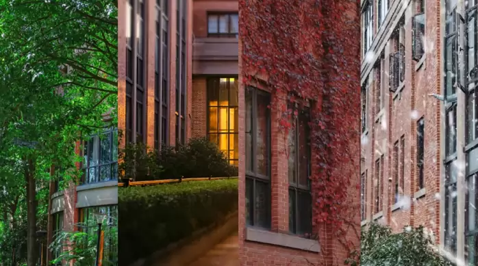 亲亲学校