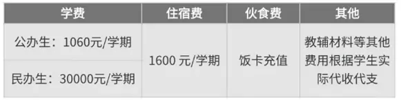 东莞市南城开心实验学校2