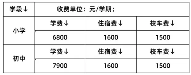 东莞市茶山京华学校3