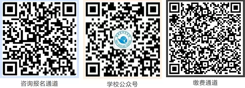 嘉善新世纪学校2