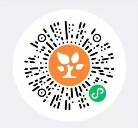 郑州市郑中国际学校2