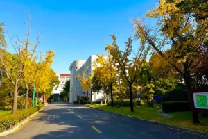 2025年上海市嘉定区嘉二实验学校招生简章(招生计划+招生范围)