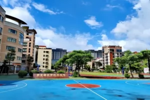 2025年佛山市禅城区新蕾塘头学校招生简章(招生计划+收费标准)