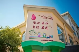 2025年上海市嘉定区望新小学招生简章(招生计划+招生范围)