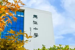 2025年上海市嘉定区马陆小学招生简章(招生计划+招生范围)