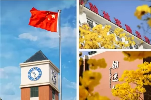 2025年佛山市南海区翰林实验学校招生简章(招生计划+收费标准)