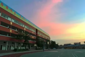 2025年佛山市南海区平洲博雅学校招生简章(招生计划+收费标准)