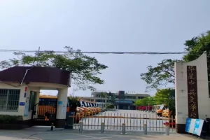 2025年佛山市三水区乐平镇华星中英文学校招生简章(招生计划+收费标准)