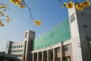 2025年佛山市顺德区龙江实验学校招生简章(招生计划+收费标准)