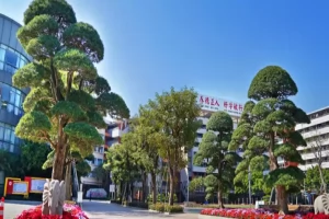 2025年佛山市顺德养正学校小升初招生简章(招生计划+收费标准)