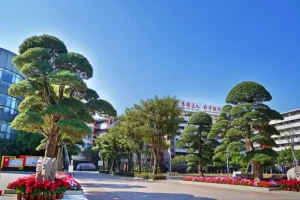 2025年佛山市顺德养正学校小学部招生简章(招生计划+收费标准)