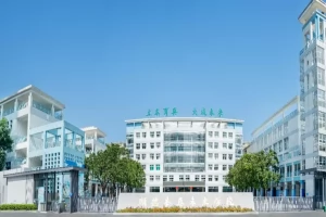 2025年佛山市顺德区本真未来学校招生简章(招生计划+收费标准)