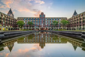 2025年成都市温江区二十一世纪学校小学部招生简章(招生对象+收费标准)