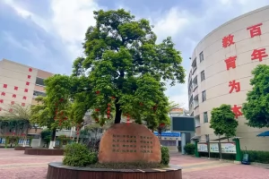 2025年东莞市松山湖南方外国语学校招生简章(招生计划+收费标准)