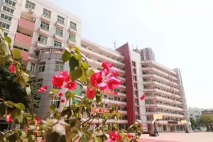 2025年泉州现代中学小升初招生简章(招生计划+收费标准)