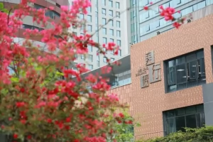 2025年成都外国语学校高新美年校区小学部招生简章(招生计划+收费标准)