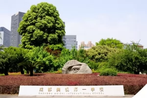 2025年成都美视师一学校招生简章(招生计划+收费标准)