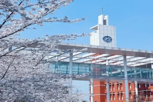 2025年南京仙林外国语学校仙林校区小升初招生简章(招生对象+收费标准)