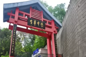 2025年乐山市牛华中学招生简章(招生计划+收费标准)