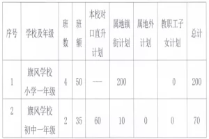 2025年中山市南朗旗风学校招生简章(招生计划+收费标准)