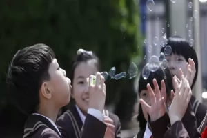 2025年天津英华实验学校小学部招生简章(招生计划+收费标准)