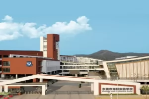 2025年东莞市海德实验学校小升初招生简章(招生计划+收费标准)