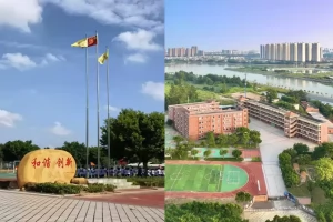 2025年东莞市道滘中南学校招生简章(招生计划+收费标准)
