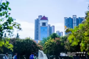2025年郑州市郑中国际学校小升初招生简章(招生计划+收费标准)