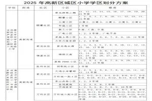 2025年吉林市高新区城区小学招生学区划分范围一览