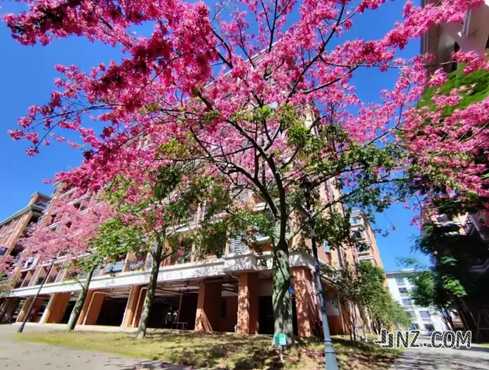 云浮市黄岗实验中学3