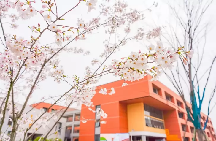 南京仙林外国语学校燕子矶校区