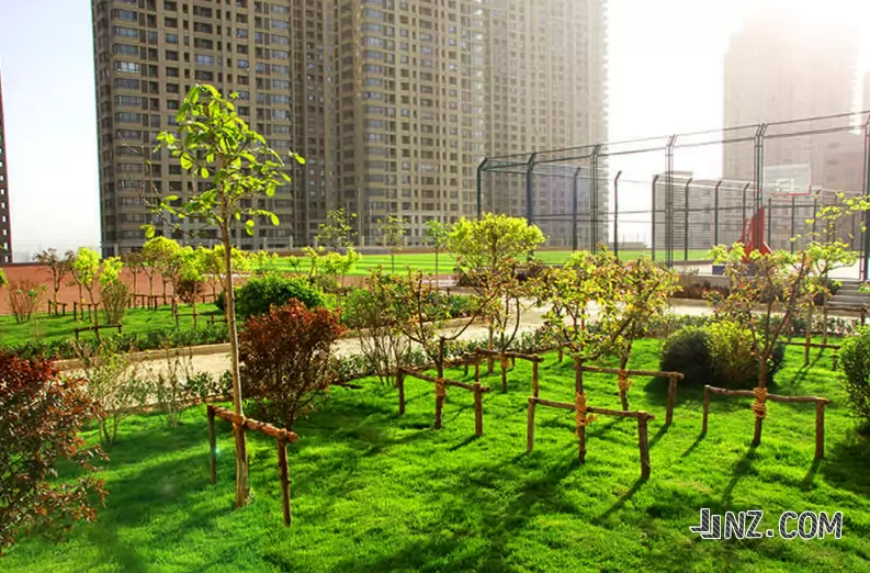 大连市康考迪亚高级中学