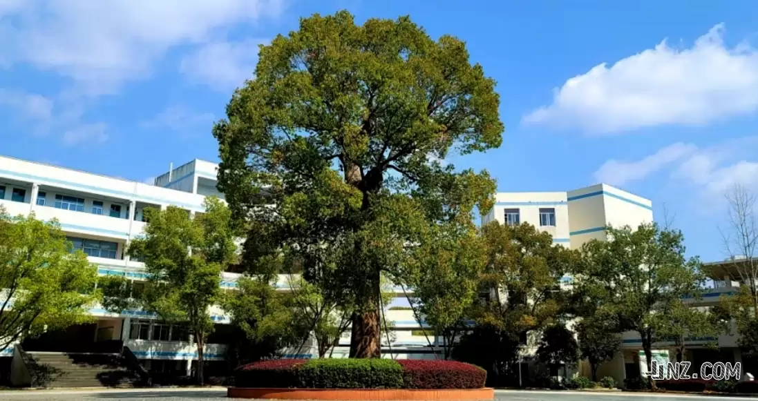 台州市书生中学3