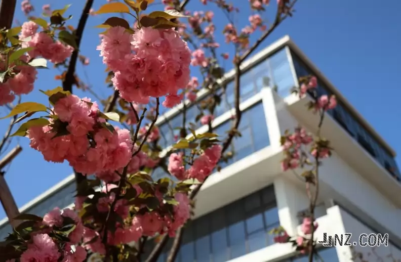 台州市九峰中学3