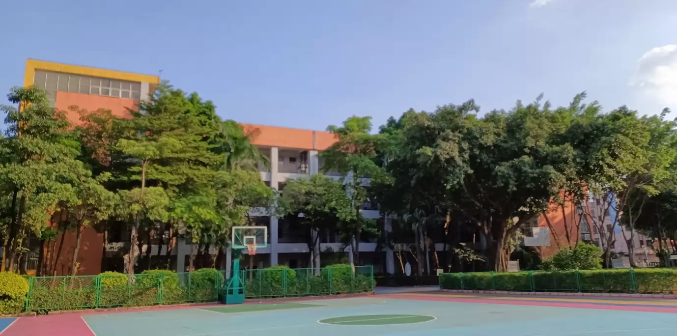 东莞市桥头华立学校4