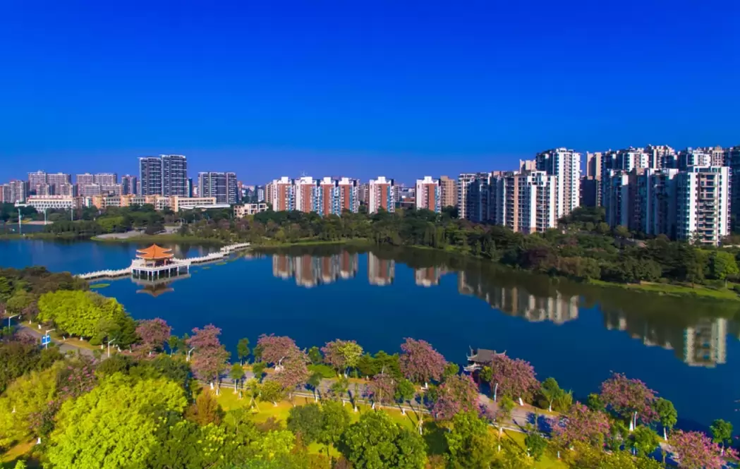 东莞市松山湖南方外国语学校3