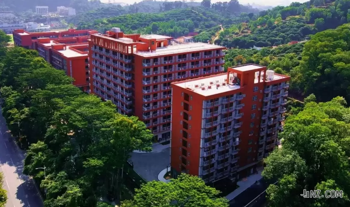 东莞市众美中学4