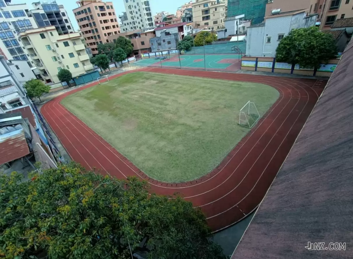 东莞市大岭山嘉福小学3