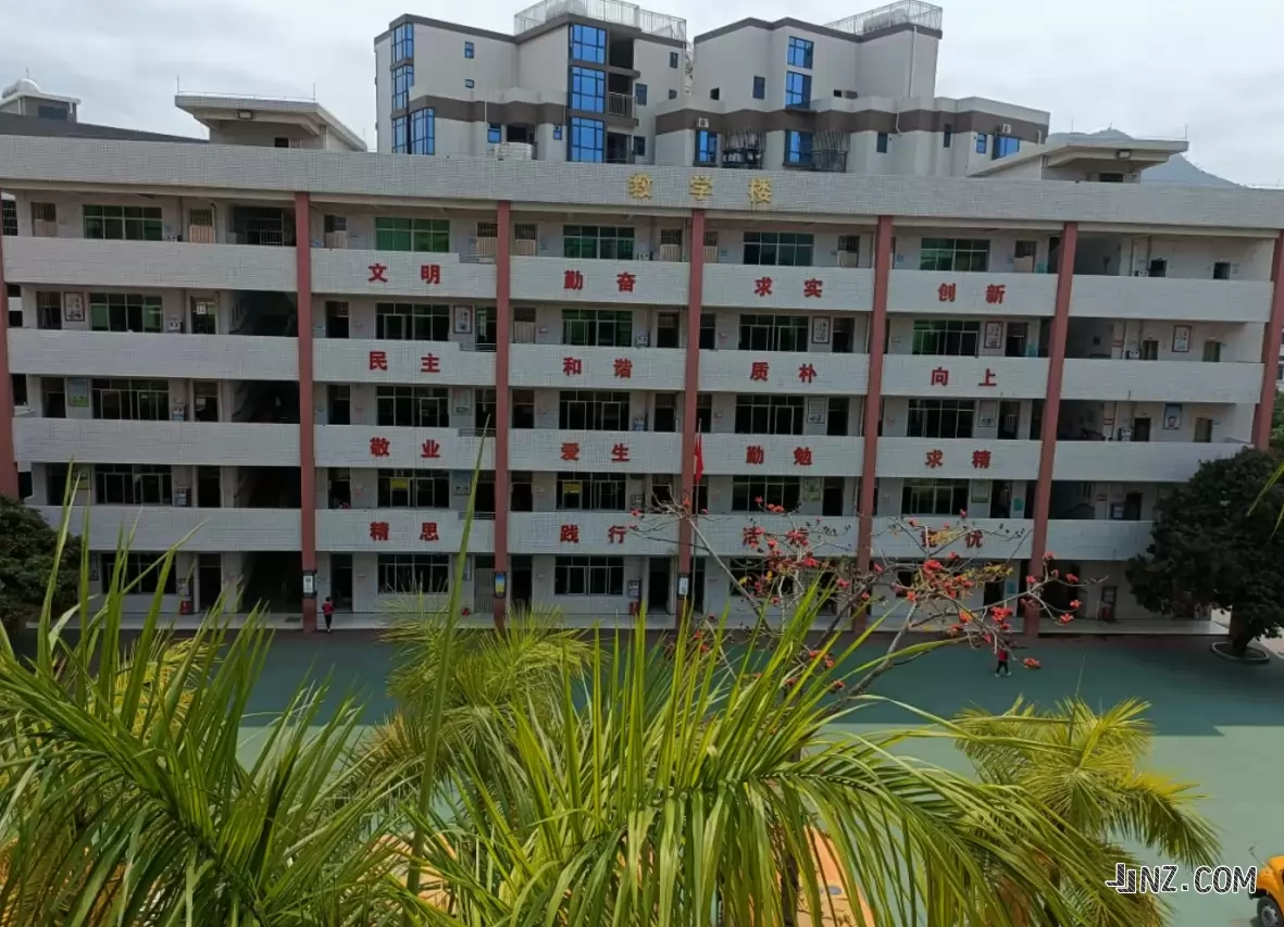东莞市大岭山嘉福小学4