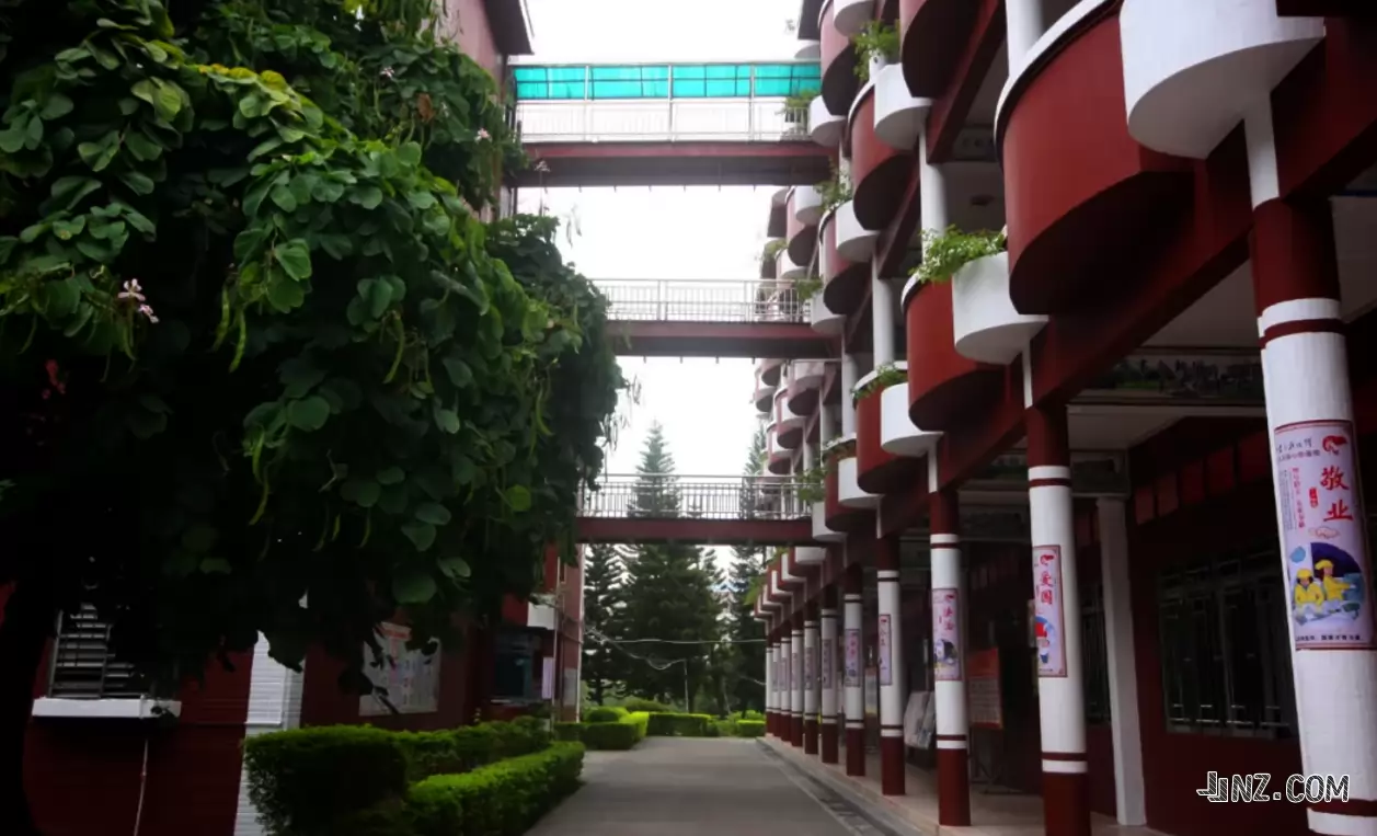东莞市樟木头百顺小学3